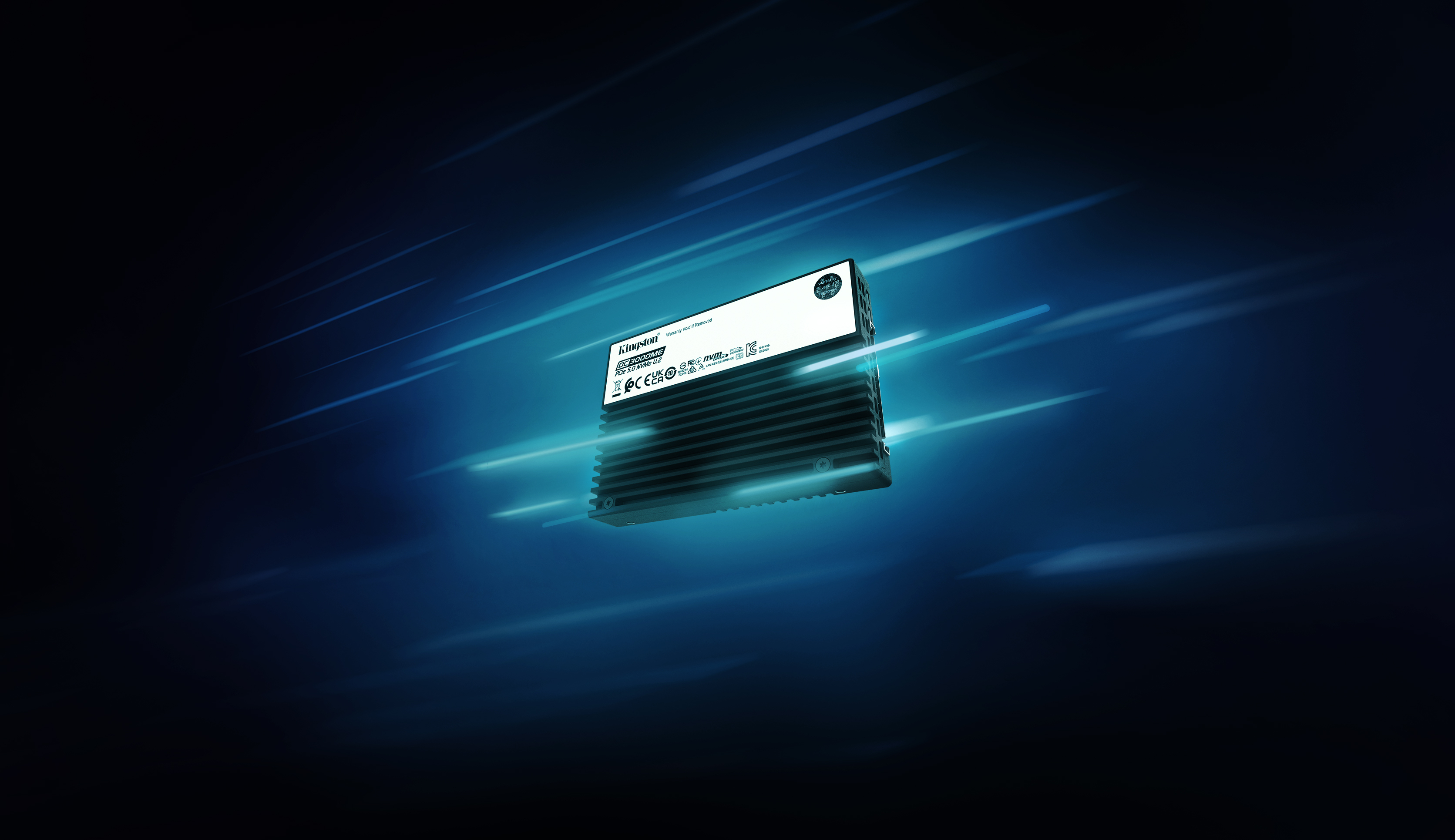 Kingston Technology 30,7TB DC3000ME U.2 PCIe 5.0 NVMe TCG Opal SSD para empresas