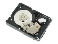 DELL 300GB SAS 15000rpm 300 Go