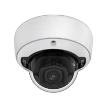 Pelco Sarix Professional 4 Series - Netzwerk-�berwachungskamera - Kuppel - Innenbereich - Farbe (Tag&Nacht)