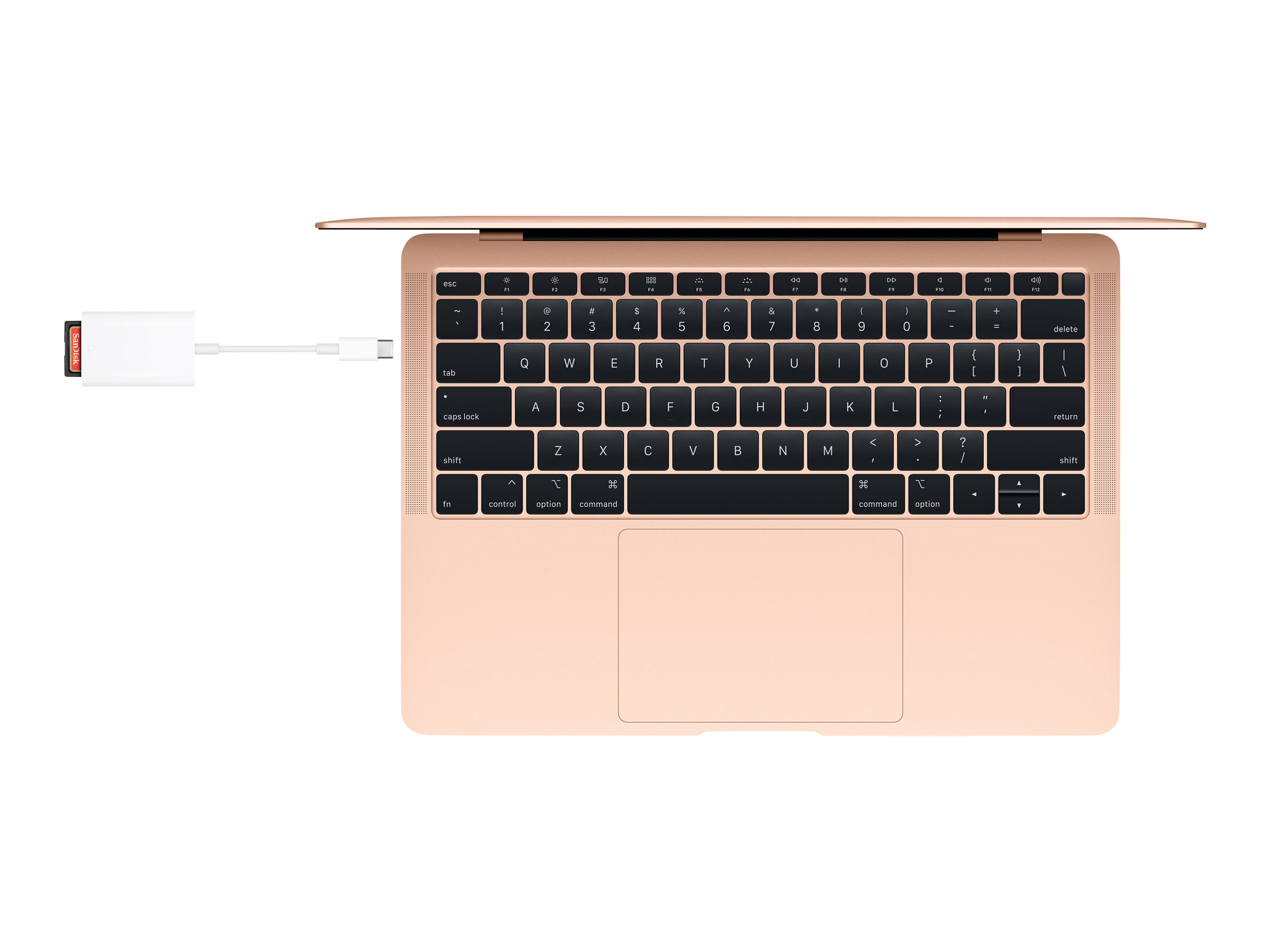 Apple USB-C to SD Card Reader - Kartenleser (SD UHS-II)