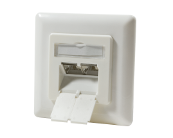 DSIT Dose Unterputz Cat. 6a/Class E zweifach geschirmt 2 x RJ45