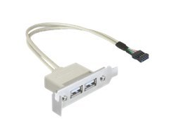 Delock Slot bracket - USB-Kabel - USB (W) zu 9-poliger USB-Header (W)