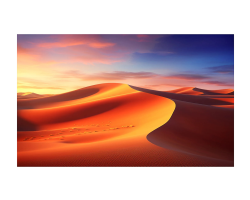 celexon Rahmenleinwand Expert PureWhite - Rahmenleinwand - 321,3 cm