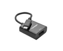 celexon USB-C auf DisplayPort M/F Adapter schwarz - Adapter - Audio/Multimedia