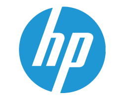 HP Display - 15.6 FHD - LED - UWVA - 250- SPS-RAW