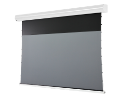 celexon Motorleinwand HomeCinema Plus Tension - Leinwand - 304,8 cm