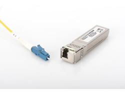 Digitus