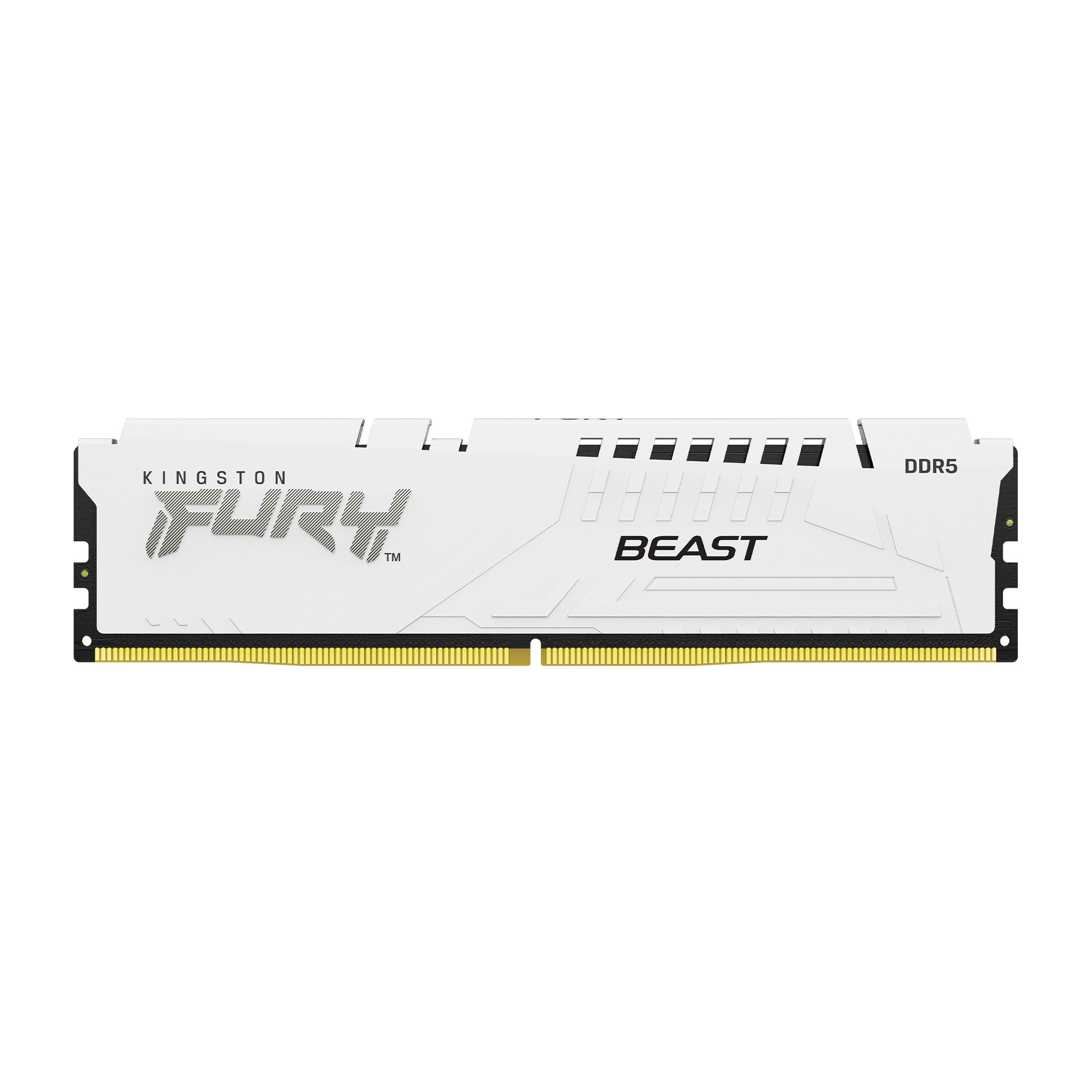 Kingston KFB 32GB DDR5 5600 DIMM K2 Wht