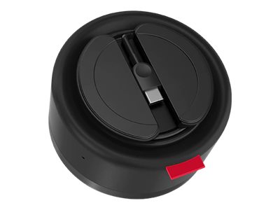 Lenovo 4XD1C82055 altavoz PC USB Tipo C Negro