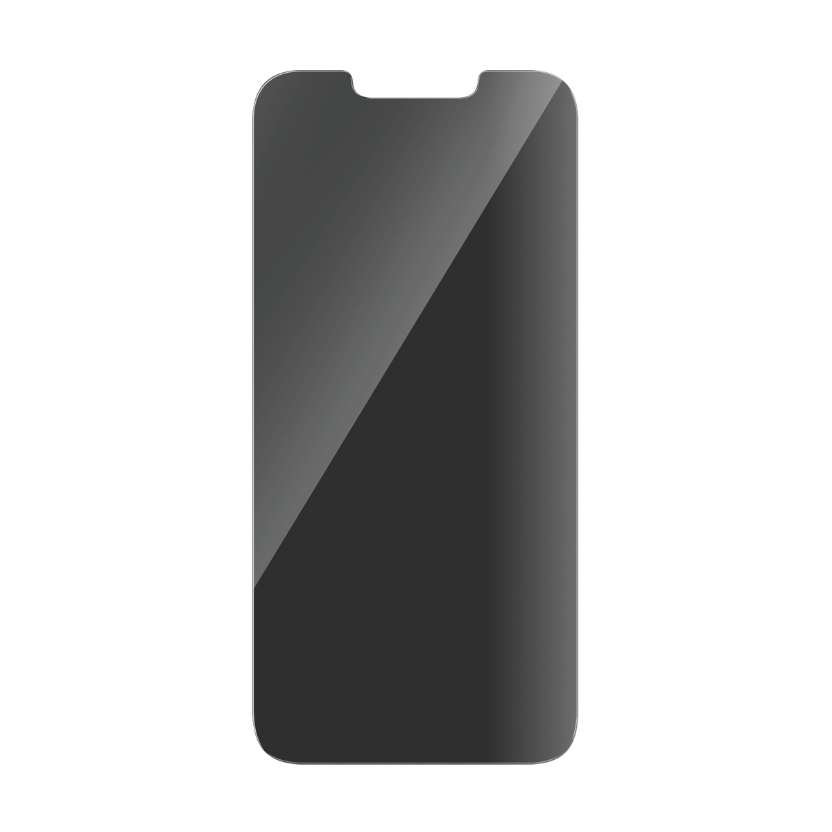 PanzerGlass SAFE by PG Priv Scrn SE 25/14/13/Pro