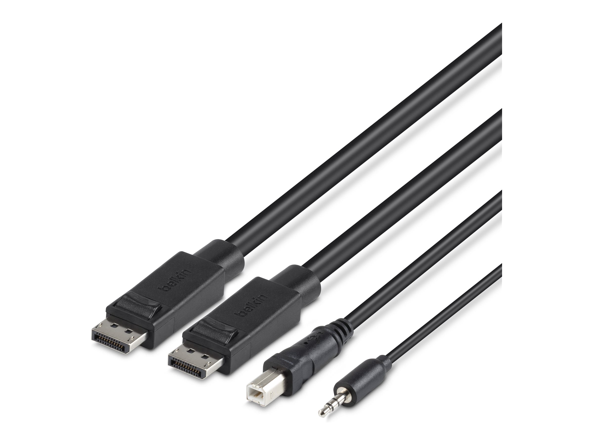 Belkin Secure KVM Combo Cable - Tastatur- / Video- / Maus- / Audio-Kabel - TAA-konform - USB, Mini-Stecker, DisplayPort (M)