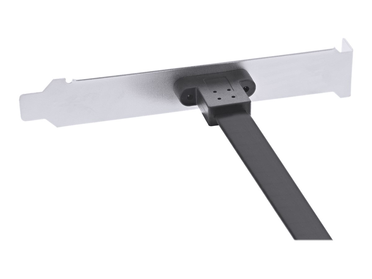 InLine 33446G carte et adaptateur dinterfaces USB 3.2 Gen 2 (3.1 Gen 2)