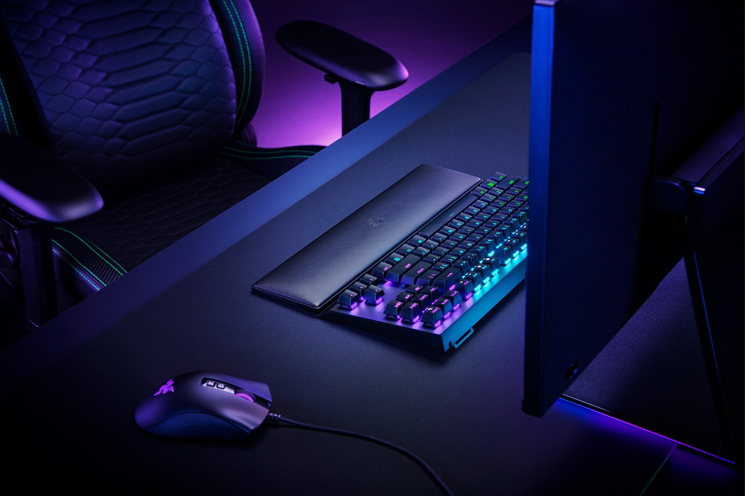 Razer Standard Edition - Handgelenkkissen - ohne