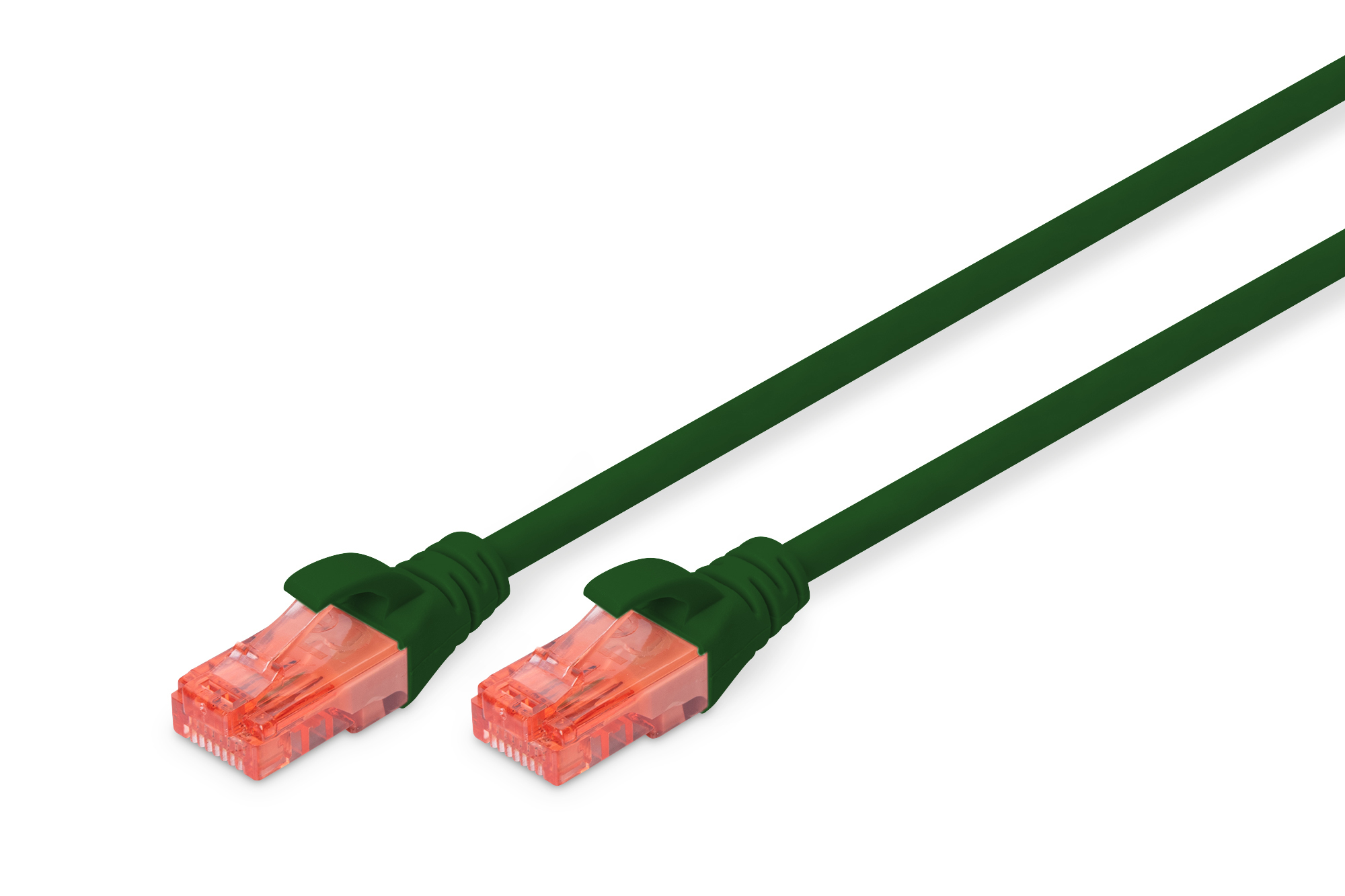 Digitus Cabe de conexin CAT 6 U/UTP- LSZH
