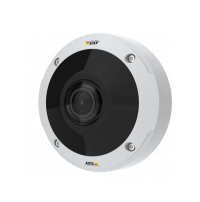 Axis M3058-PLVE Network Camera - Netzwerk-berwachungskamera - Kuppel - Auenbereich - staubdicht/wasserdicht/vandalismusresistent - Farbe (Tag&Nacht)