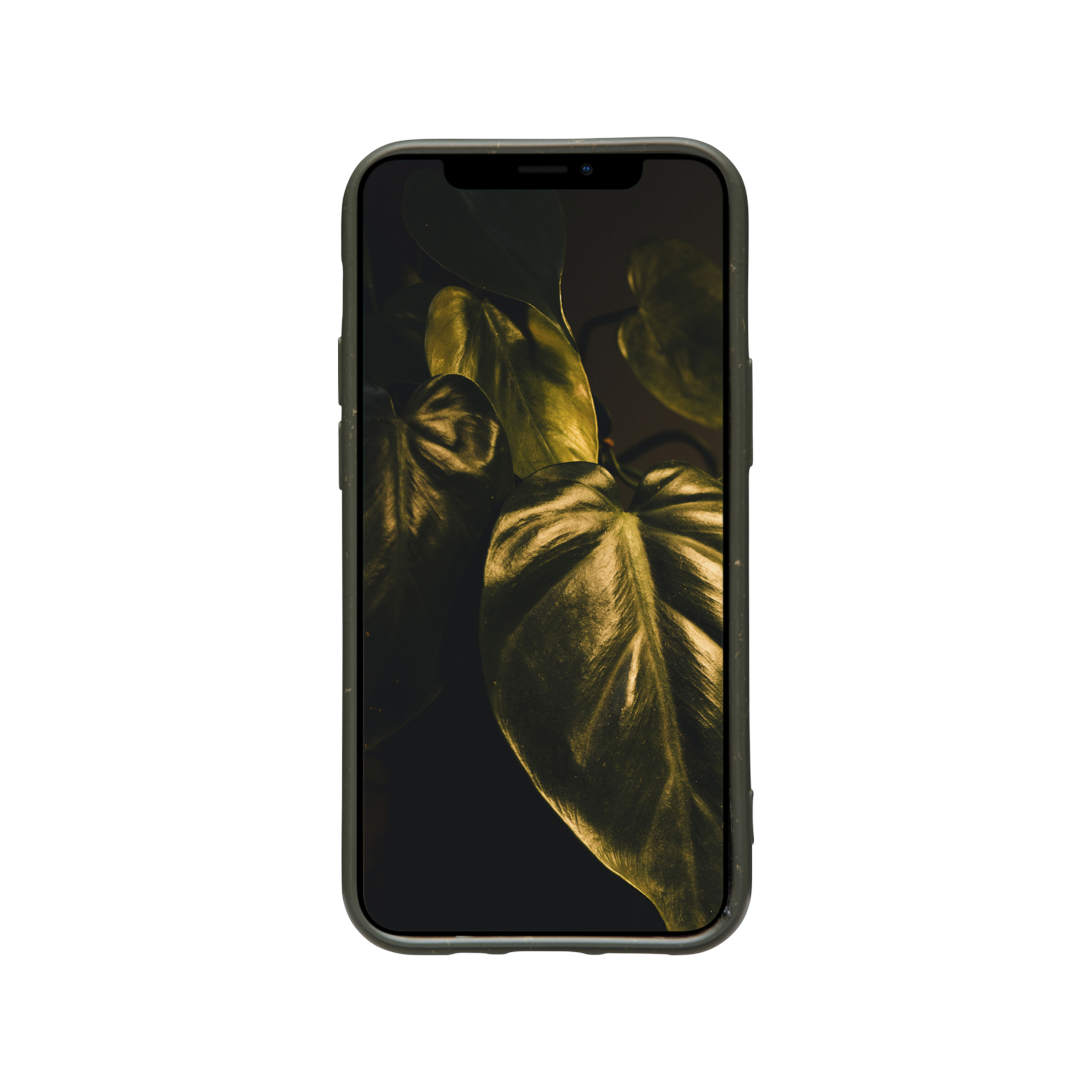 dbramante1928 Grenen - Cover - Apple - iPhone 12 mini - 13,7 cm (5.4) - Olive
