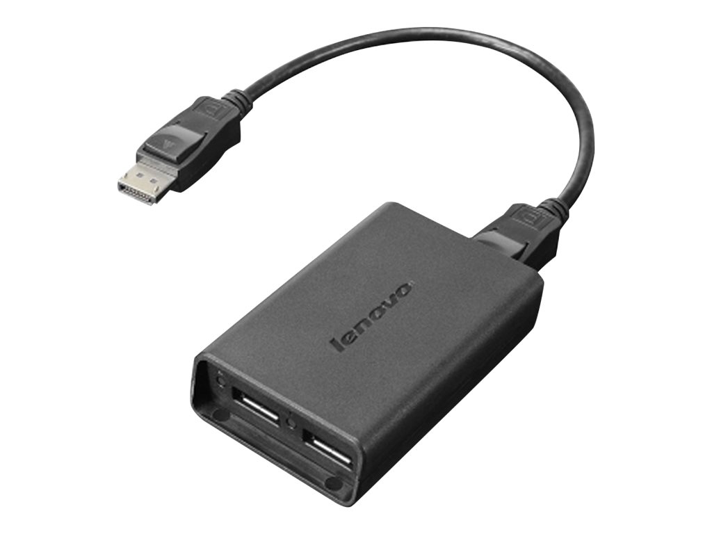 Lenovo DisplayPort to Dual-DisplayPort Monitor Cable c�ble USB USB A Noir
