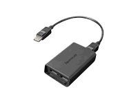 Lenovo DisplayPort to Dual-DisplayPort Monitor Cable c�ble USB USB A Noir