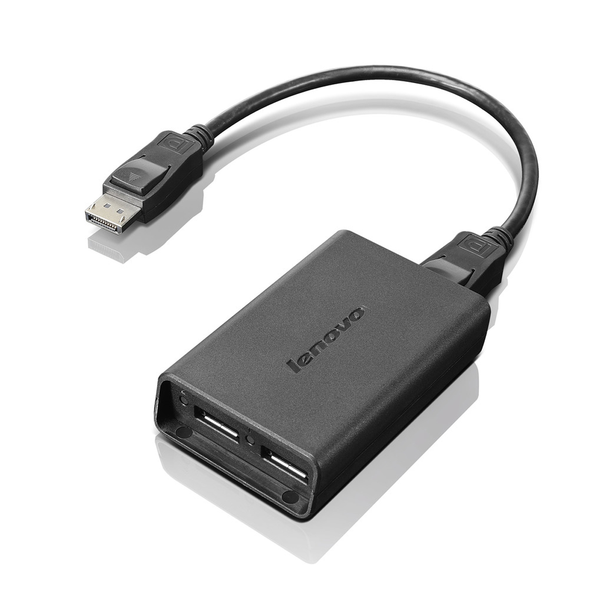 Lenovo DisplayPort to Dual-DisplayPort Monitor Cable c�ble USB USB A Noir