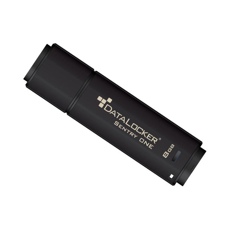 Origin Storage DataLocker Sentry ONE - USB-Flash-Laufwerk - verschlsselt