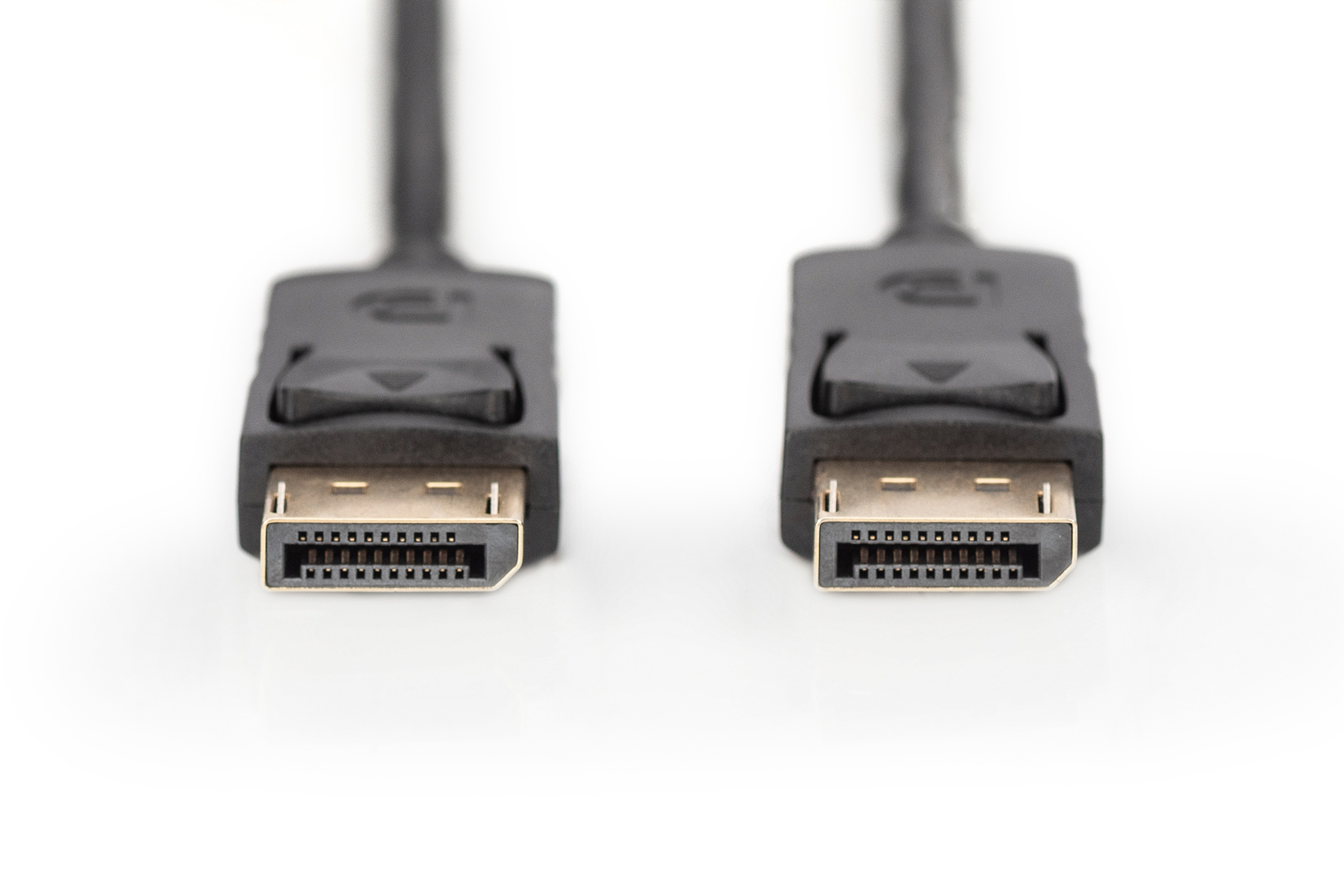 Digitus Cavo di collegamento DisplayPort