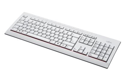 Fujitsu KB521 - Tastatur - USB - Polnisch - Marble Gray