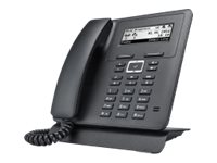 Bintec-elmeg IP620 IP phone Black
