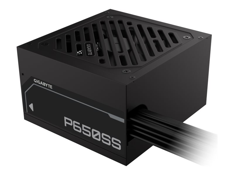 Gigabyte P650SS - Netzteil (intern) - ATX12V 3.0/ EPS12V