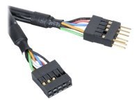 Akasa EX1394I-40 - IEEE 1394-Verlngerungskabel