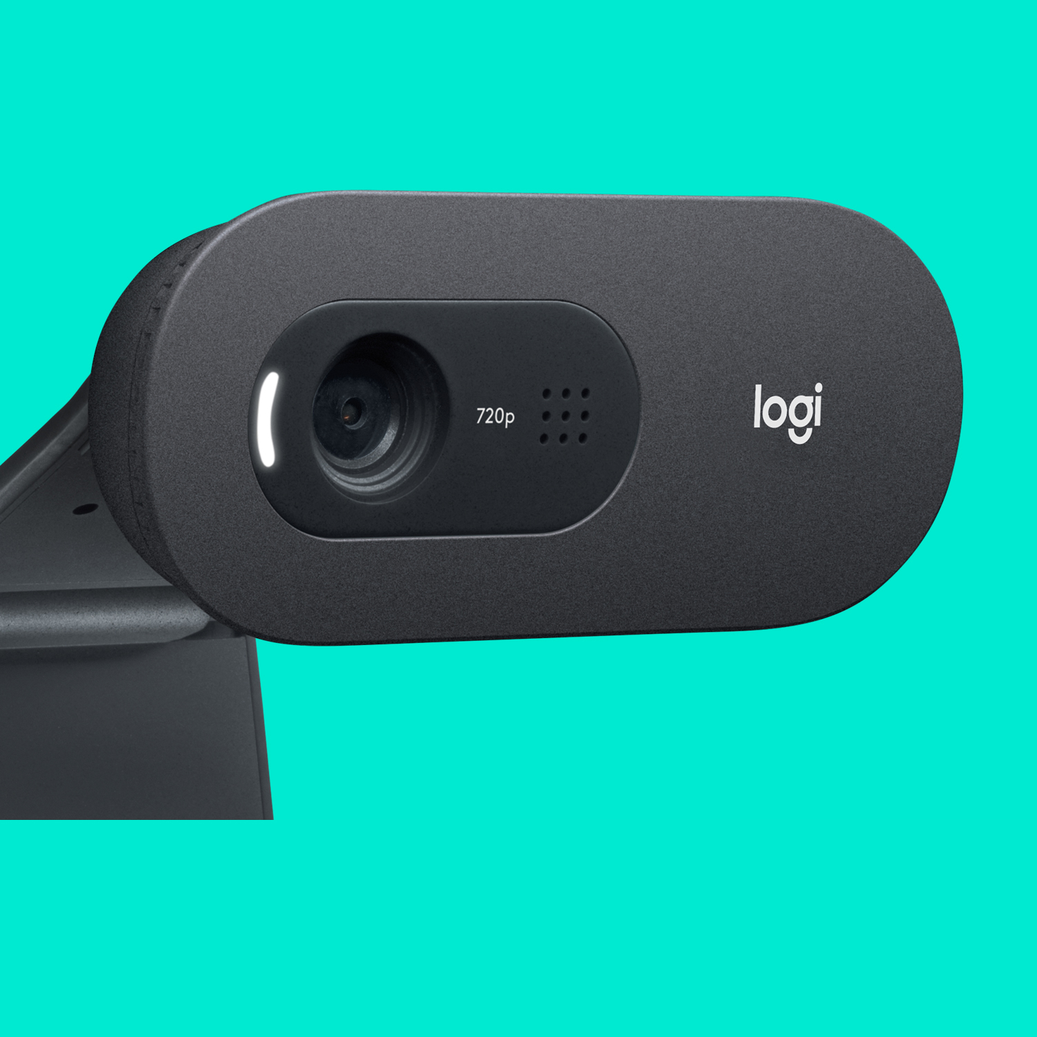 Logitech C505 - Webcam - Farbe - 720p - feste Brennweite