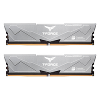 Team Group DIMM 32 GB DDR5-6000 2x 16 Dual-Kit grau FLESD532G6000HC38ADC01 VULCAN ECO