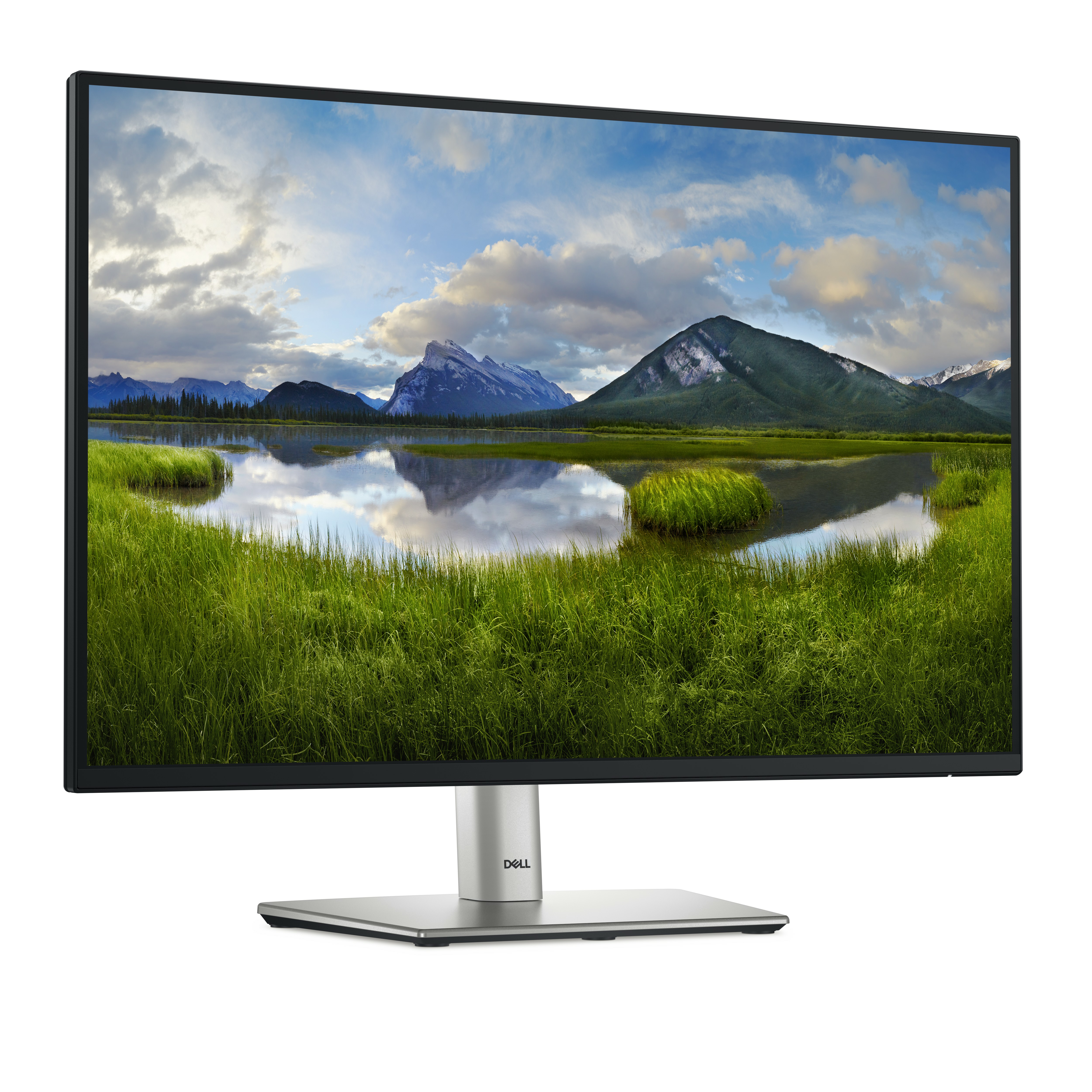 DELL Pro Plus P2425E �cran plat de PC 61 cm (24) 1920 x 1200 pixels WUXGA LCD Noir