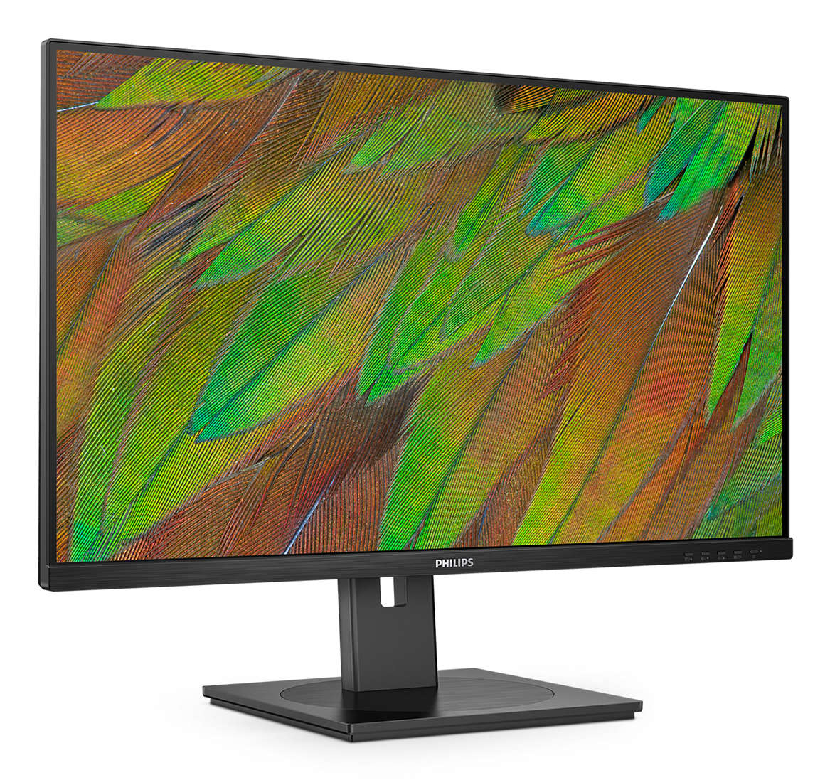 Philips 32B1N3800 - 3000 Series - LED-Monitor - 81.3 cm (32)