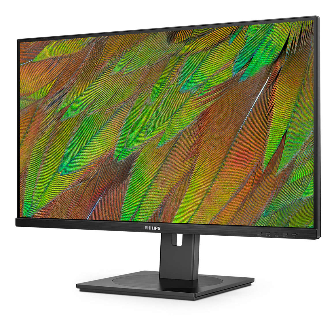 Philips 32B1N3800 - 3000 Series - LED-Monitor - 81.3 cm (32)