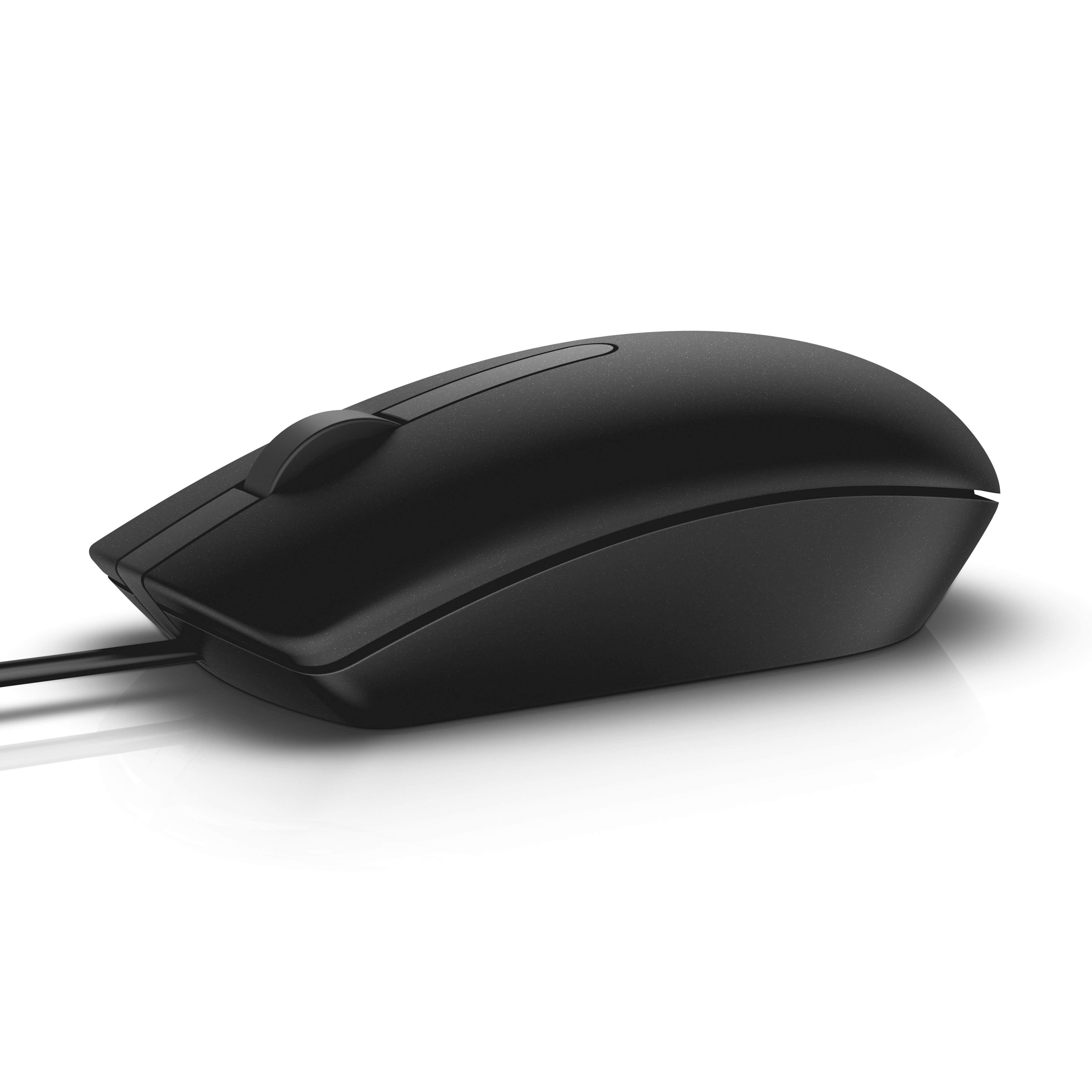 Dell MS116 - Beidh�ndig - Optisch - USB Typ-A - 1000 DPI - Schwarz