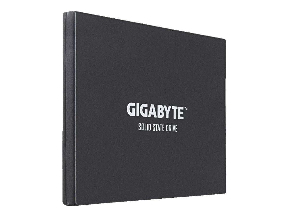 Gigabyte UD PRO Series GP-GSTFS30256GTTD - SSD - 256 GB - intern - 2.5 (6.4 cm)