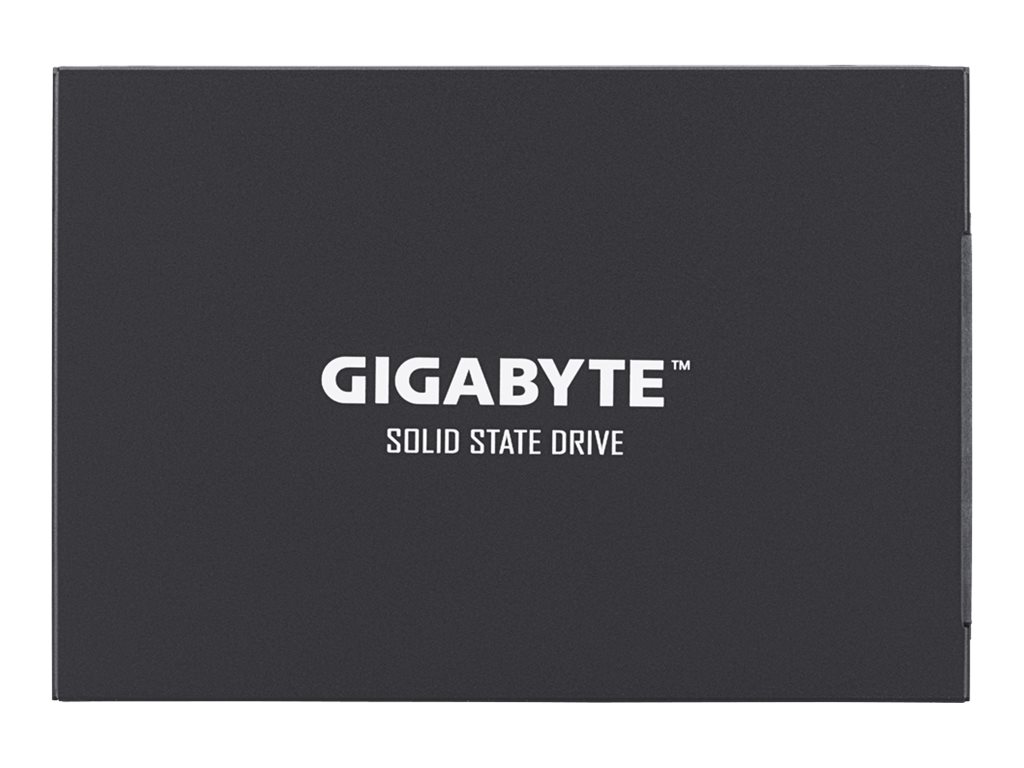 Gigabyte UD PRO Series GP-GSTFS30256GTTD - SSD - 256 GB - intern - 2.5 (6.4 cm)