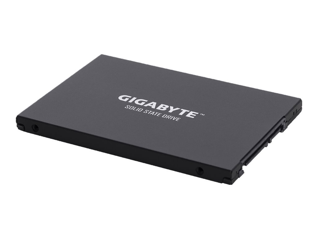 Gigabyte UD PRO Series GP-GSTFS30256GTTD - SSD - 256 GB - intern - 2.5 (6.4 cm)