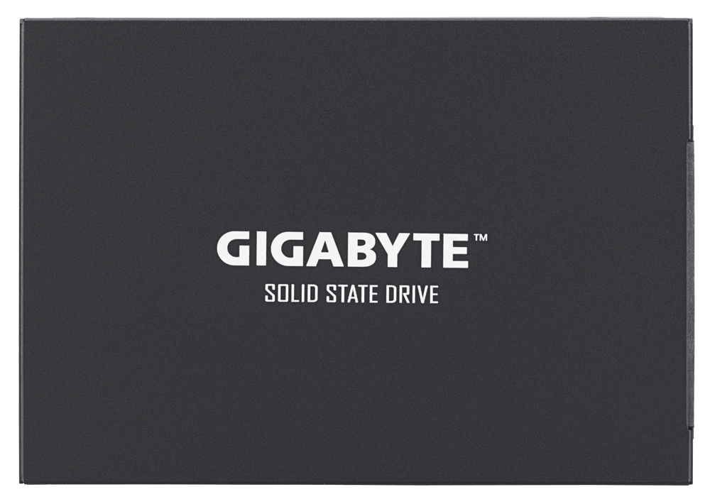 Gigabyte UD PRO Series GP-GSTFS30256GTTD - SSD - 256 GB - intern - 2.5 (6.4 cm)