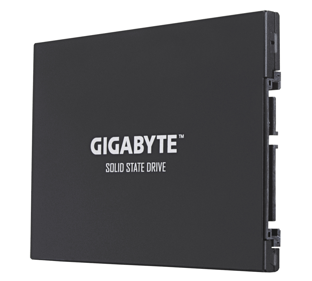 Gigabyte UD PRO Series GP-GSTFS30256GTTD - SSD - 256 GB - intern - 2.5 (6.4 cm)