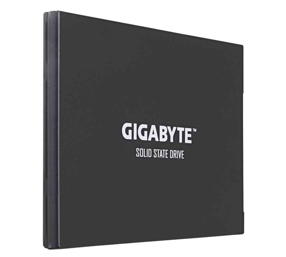 Gigabyte UD PRO Series GP-GSTFS30256GTTD - SSD - 256 GB - intern - 2.5 (6.4 cm)