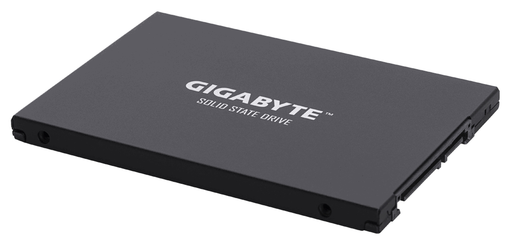 Gigabyte UD PRO Series GP-GSTFS30256GTTD - SSD - 256 GB - intern - 2.5 (6.4 cm)