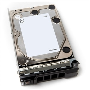 DELL 400-AUWK disque dur 3.5 12000 Go S�rie ATA III