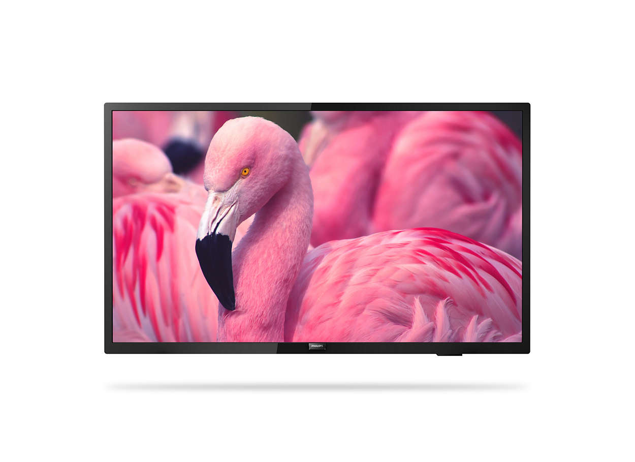 Philips 43HFL4014/12 televisi�n para el sector hotelero 109,2 cm (43) Full HD 250 cd / m� Negro 16 W