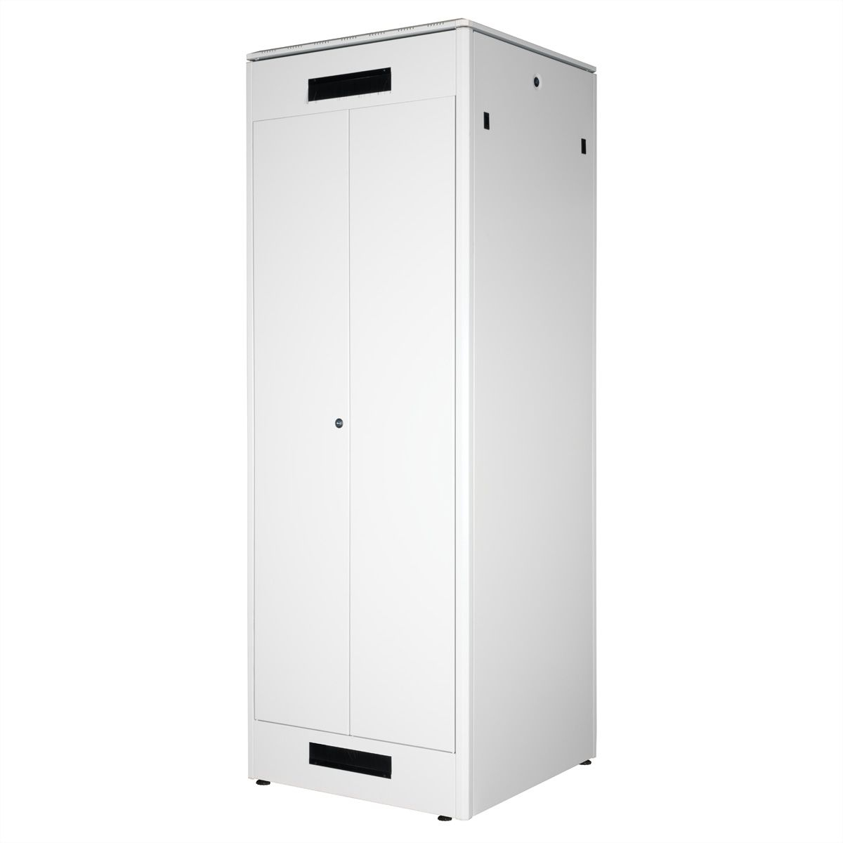 ROLINE Pro - Schrank Netzwerkschrank - RAL 7035, Hellgrau - 47U - 48.3 cm (19)