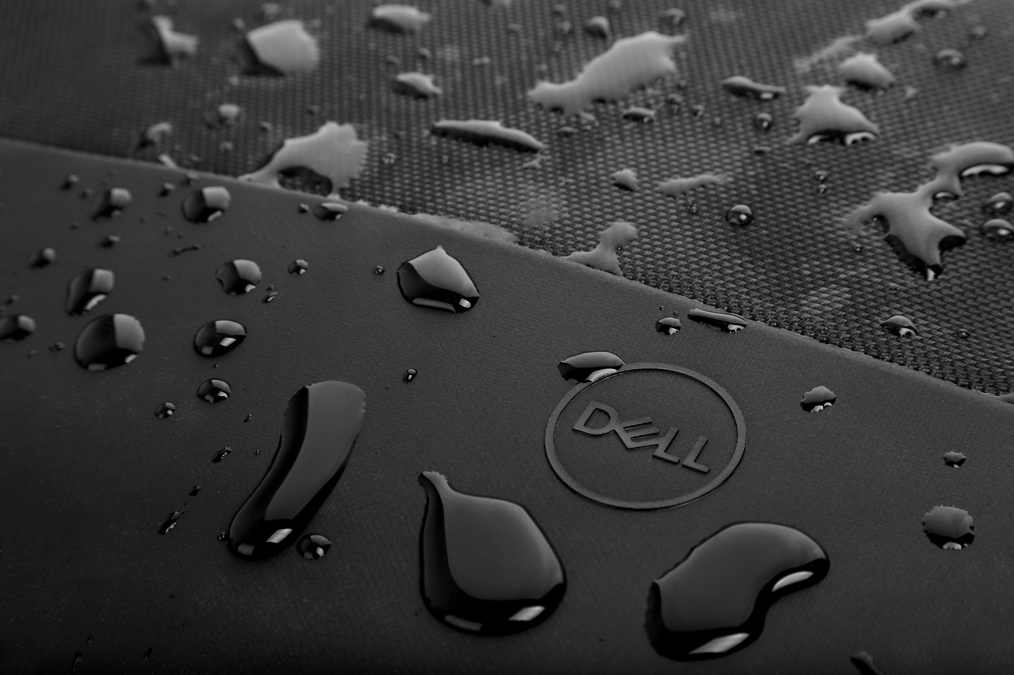 DELL Borsa Pro 14