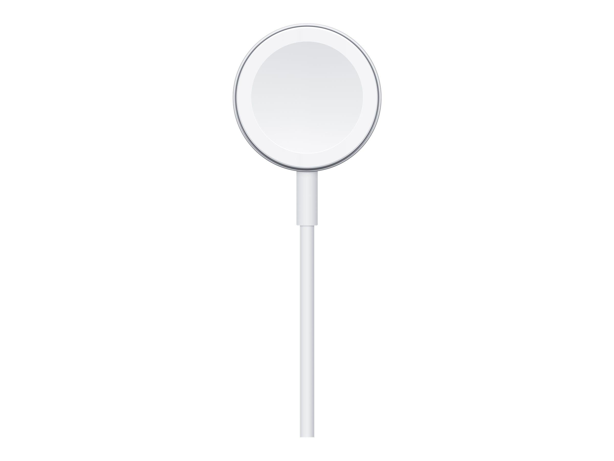 Apple C�ble de charge rapide magn�tique vers USB C pour Watch (1 m)