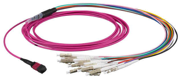 EFB Elektronik MTPF12LCOM5-10 cable de fibra optica 10 m MTP 12x LC OM5 Prpura