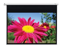 Optoma DE-1095EGA projection screen 2.41 m (95) 16:10