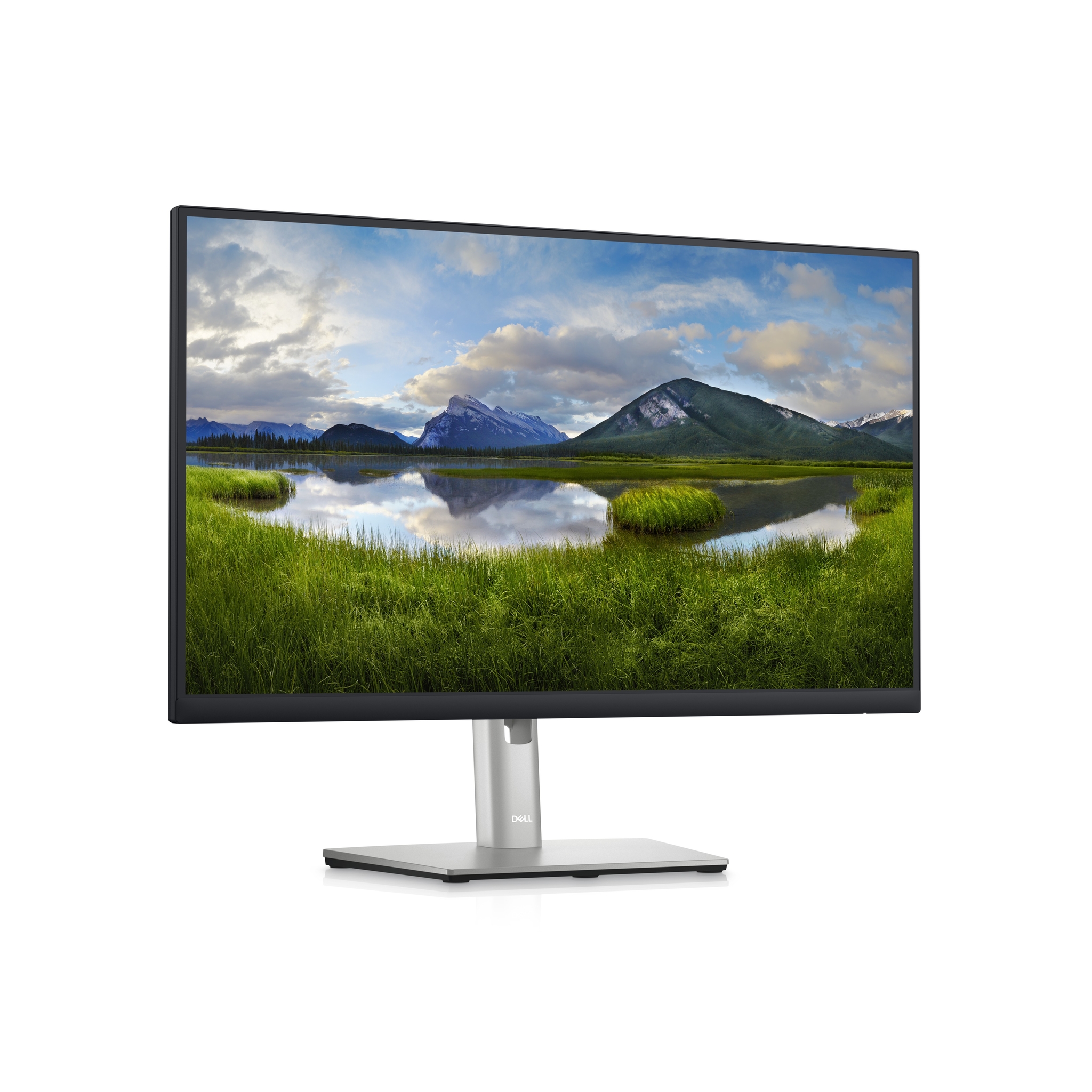 DELL P Series �cran 24 pouces QHD - P2423D